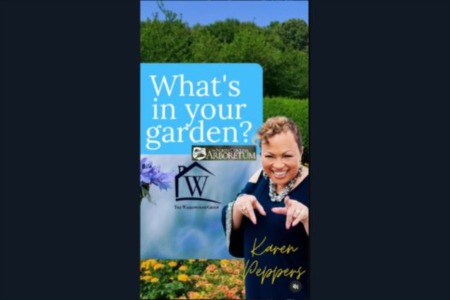 Happy Tuesday, garden enthusiasts! Get ready for another thrilling Episode of What's in your Garden! 