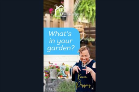 Welcome to this week's episode of 'What's in Your Garden?' It's Tuesday, and we're back with the freshest installment.