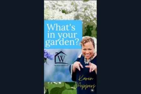 Calling all green thumbs and garden enthusiasts! Brace yourselves for the latest episode of 'What's in Your Garden?' 
