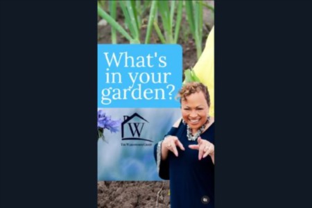 Let's keep the gardening magic going!  Join us for the continuation of 'What's in Your Garden' with the one and only Karen Peppers (IG: @buywithkaren)!