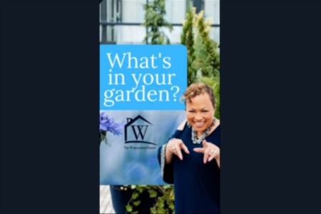 Hey there, garden enthusiasts! Today on 'What's in Your Garden,' we're spilling the beans on the epic #PottingParty at Rewind Retrobar