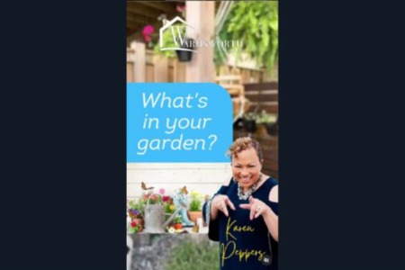 Today, we're taking a peek into Mrs. Karen Peppers' (IG: @buywithkaren) garden, where she'll spill the beans on how to get your garden ready for the fall season.