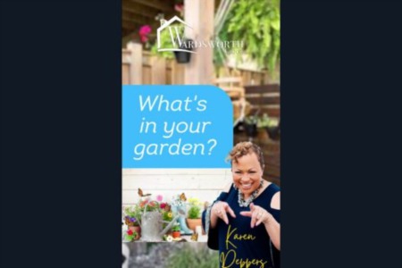 It's Tuesday, and we're back with a new episode of 'What's in Your Garden? This time, she's sharing her tips on preventing Mealybug from harming her plants