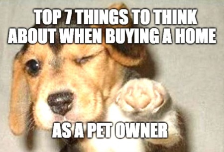  Top 7 Things to Think About When Buying a Home as a Pet Owner
