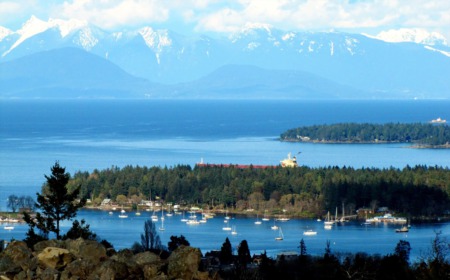 Indulge in the 'sweet' city of Nanaimo