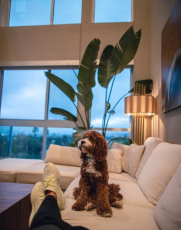 What to look for in your 'forever home' 