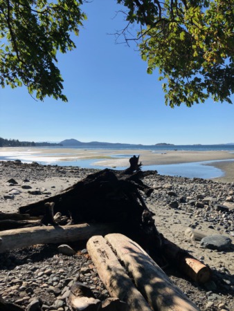 Local Insights:  How to get to Blueback Beach in Nanaimo
