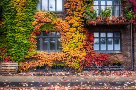Your Fall Home Checklist