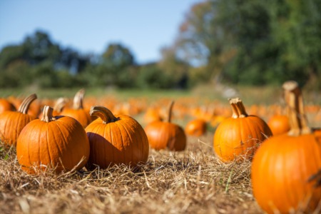 To Do's:  Your October Home Checklist