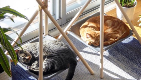 A Place for Them: Designing Pet-Friendly Homes