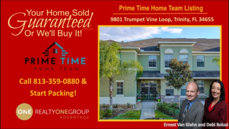 Beautiful Home at 9801 Trumpet Vine Loop, Trinity, FL 34655