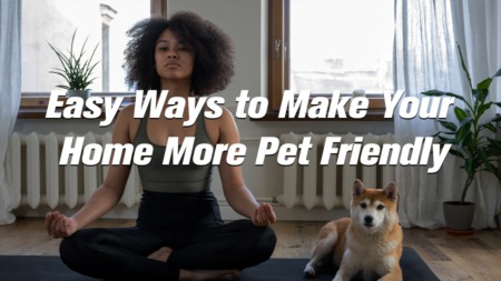 Easy Ways to Make Your Home More Pet Friendly