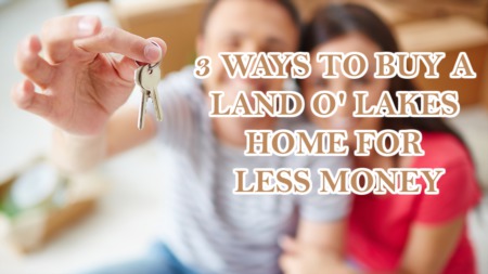 3 Ways to Buy a Land O'Lakes  Home for Less Money