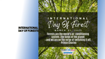 International Day of Forests 2023