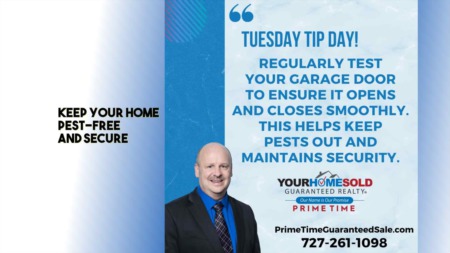 Keep your home pest-free and secure