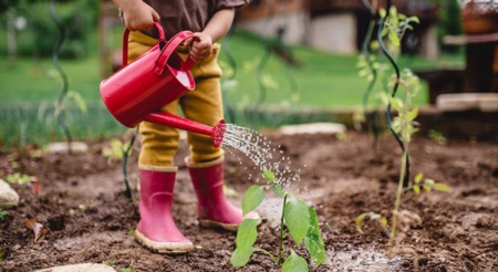 Buying a Home Means Building a Wealth