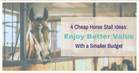 4 Cheap Horse Stall Ideas: Enjoy Better Value With a Smaller Budget