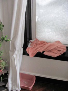 Winterizing Your Home Windows