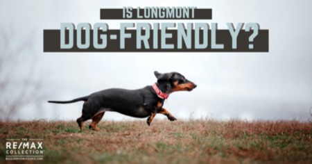 How Dog-Friendly is Longmont, CO? Longmont Dog Parks & Dog-Friendly Activities