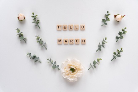 What Events Are Taking Place This March in and Around Boulder, CO?