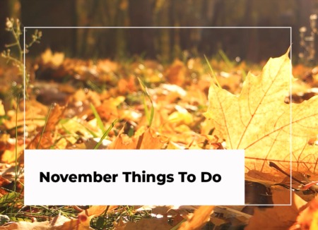November Things To Do