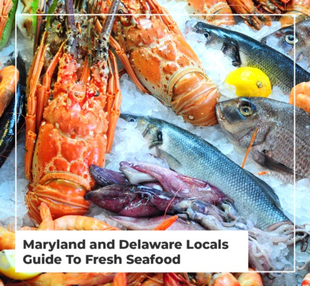 Maryland And Delaware Locals Guide To Fresh Seafood