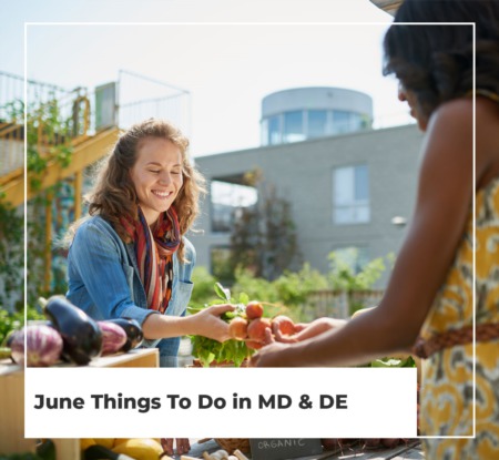 June Things To Do