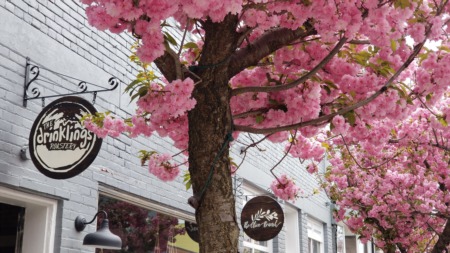 Small Town Charm: Wilmore, Kentucky