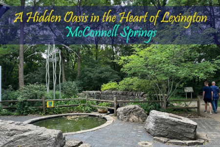A Hidden Oasis in the Heart of Lexington: McConnell Springs