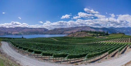 Summer Activities in Lake Chelan 2022!