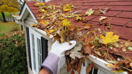 Fall Maintenance Tips for Homeowners: Preserving Your Investment