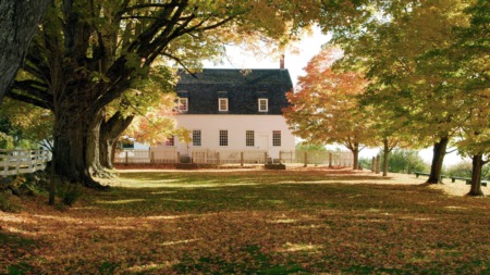Embrace the Cozy Charm of Fall: Your Guide to House Hunting in Autumn