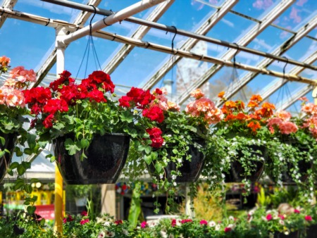 Business Spotlight: Anderson Florist & Greenhouse