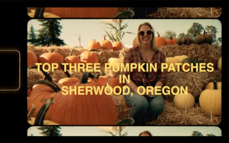 Top Three Pumpkin Patches in Sherwood, OR