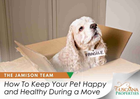 How To Keep Your Pet Happy and Healthy During a Move