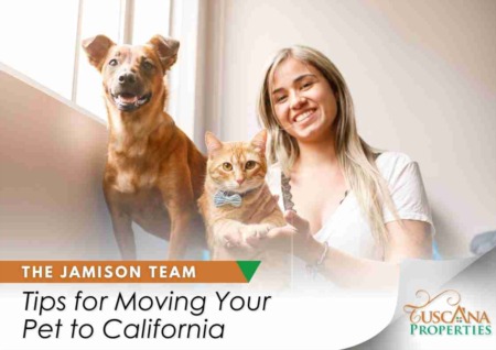 Tips for Moving Your Pet to California