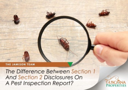 Section 1 vs Section 2 Disclosures On A Pest Inspection Report