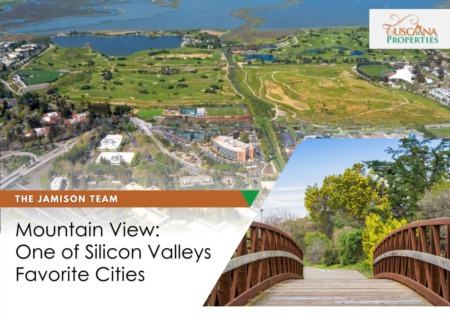 Mountain View: One of Silicon Valleys Favorite Cities