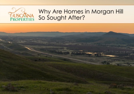 Why Are Homes in Morgan Hill So Sought After?