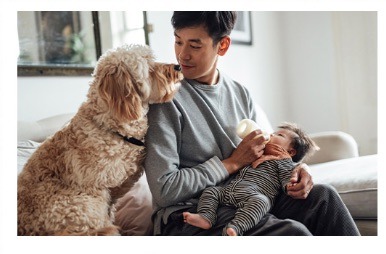 Reasons To Own Your Home