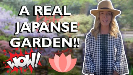 Welcome To The Shinzen Japanese Garden In Woodward Park, CA