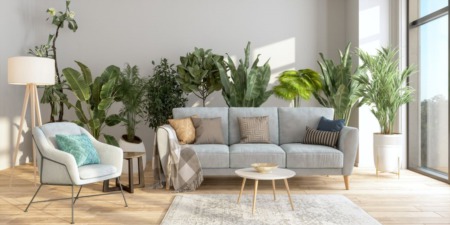 Can Certain Plants Actually Purify the Air in Your Home?