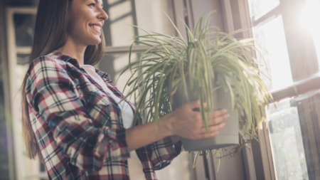 Help Your Indoor Plants Thrive This Winter