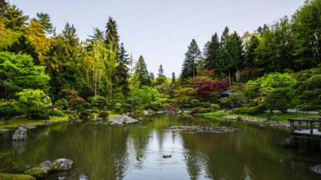 Best Art and Culture Activities in Portland, Oregon