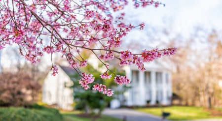 4 Reasons This Spring Presents Sellers with a Golden Opportunity