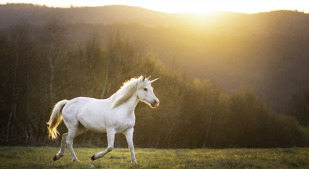 The End of Real Estate Unicorns: Why the Market is Returning to Normalcy
