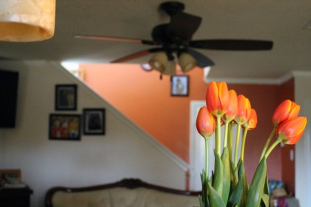 Spring-Ready DIYs Your House Needs!