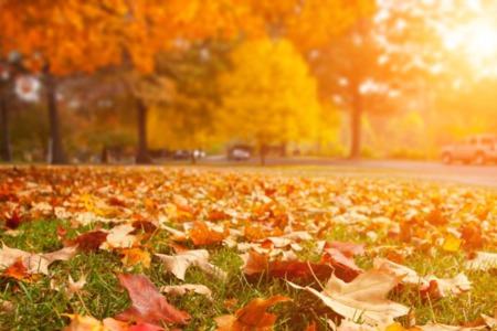 Should You Sell Your Home This Fall? Five Reasons Why You Should!