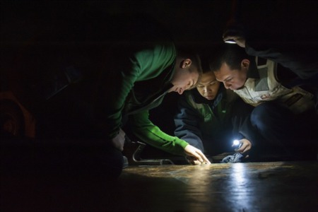 Home Inspection: What You Need to Know 