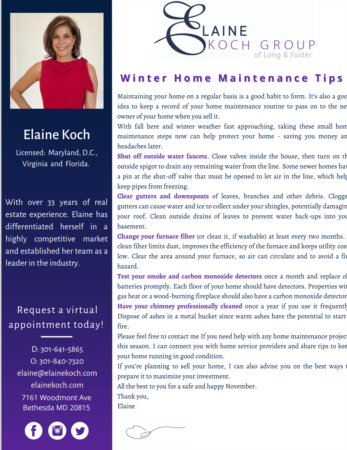 Elaine Koch November Newsletter